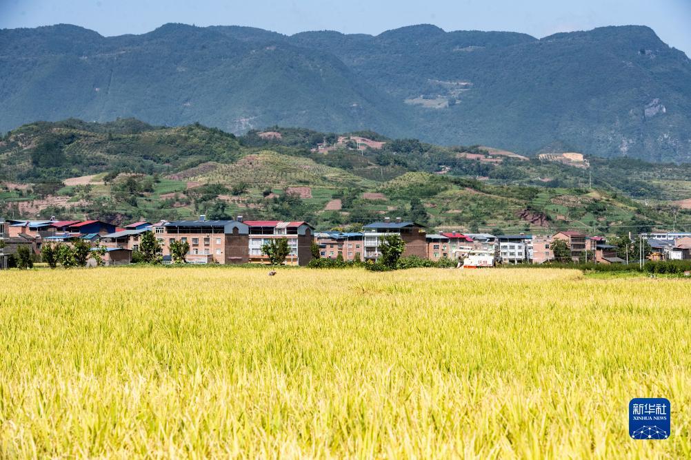 易发游戏每天送6元